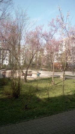 IMG 20190403 114016 - normales Foto