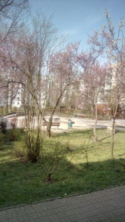 IMG 20190403 114021 HDR - Aufnahme im HDR Modus
