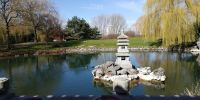 Honor 9 Lite Smartphone - Marzahner Garten