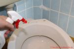 LOBENSWERK Toilettendeckel - Reinigung der Anschlussstellen des WC