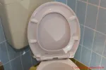 LOBENSWERK Toilettendeckel - fertig installierter Toilettendeckel