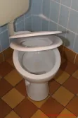 LOBENSWERK Toilettendeckel -  fertiger Toilettensitz beim langsamen Einklappen