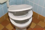 LOBENSWERK Toilettendeckel - fertiger Toilettensitz beim langsamen Einklappen