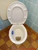 LOBENSWERK Toilettendeckel - fertiger Toilettensitz komplett hochgeklappt