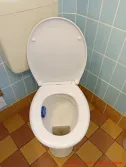 LOBENSWERK Toilettendeckel - fertiger Toilettensitz mit hochgeklappten Deckel