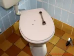 LOBENSWERK Toilettendeckel - Werkzeug zur Demontage des alten Toilettendeckels
