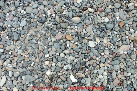 Naturführer Ostsee" von Frank Rudolph - Steine am Ostseestrand