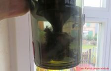 TVTAU Akkustaubsauger T10 - durchsichtiger Staubbehälter