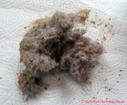 TVTAU Akkustaubsauger T10 - aufgesaugter Staub