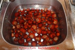 Rosskastanien zum Waschen in der Küchenspüle