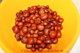 gewaschene Rosskastanien