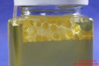 Yuneiko Bio Robinien-Honig - Seitenansicht mit Bienenwabe