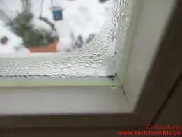 Kondenswasserbildung an einem Holzfenster