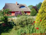 Eine naturnahe Blumenwiese anlegen - 