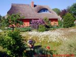 Eine naturnahe Blumenwiese anlegen - 
