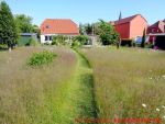 Eine naturnahe Blumenwiese anlegen - naturnaher Weg