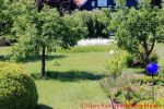 Eine naturnahe Blumenwiese anlegen - 