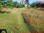 Eine naturnahe Blumenwiese anlegen - 