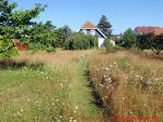 Eine naturnahe Blumenwiese anlegen - 