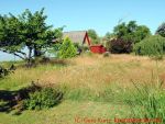 Eine naturnahe Blumenwiese anlegen - 