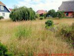 Eine naturnahe Blumenwiese anlegen - 