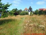 Eine naturnahe Blumenwiese anlegen - 