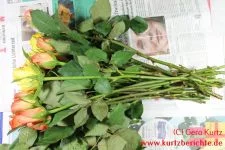 Blumen Glycerin Rosen mit Blättern