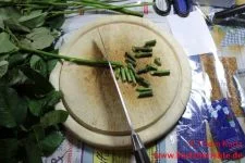 Blumen Glycerin Stiele der Rosen schräg abschneiden