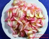 Blumen Glycerin 58 Rosenblätter auf einem Teller