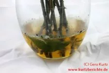 Blumen Glycerin Schimmelbildung