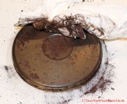 Pflege von alten Gusseisenkochplatten - losen Rost abwischen