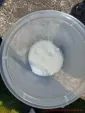 Druckleitung reinigen - einen Teelöffel Zitronensäure in einem Gefäß