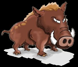 Wildschwein