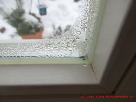 Kondenswasser am Fenster