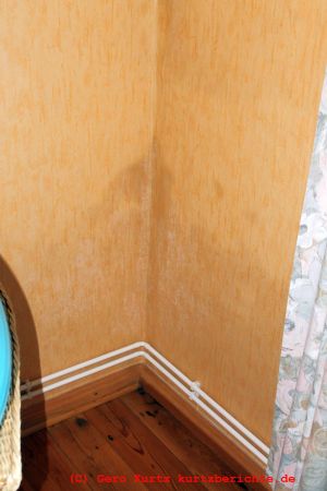 feuchte Zimmerwand