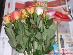 Rosen mit verschiedenen Farben
